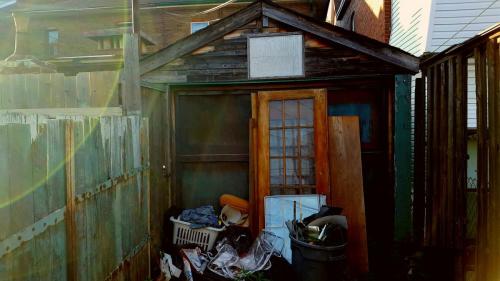 letting the light in